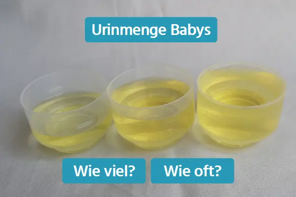 Wie oft pinkeln Neugeborene Wie oft pinkeln Neugeborene